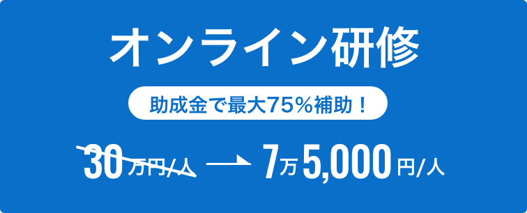 オンライン研修　助成金で最大75％補助！　30万円/人が7万5,000円/人に