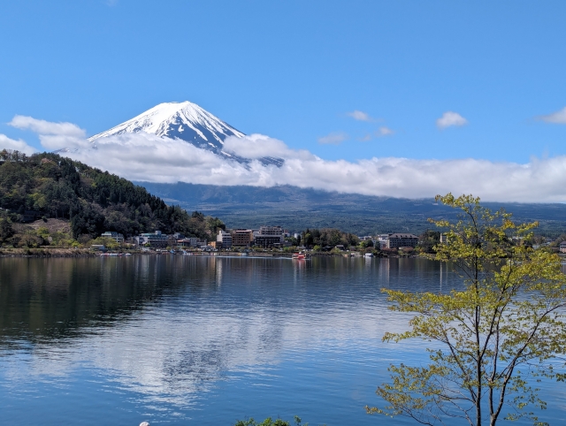 歴史が教えてくれる、日本人の読書文化の底力